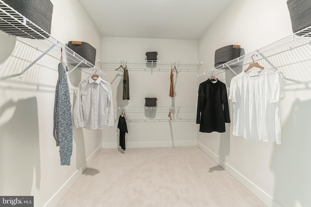 walk in closet featuring carpet floors