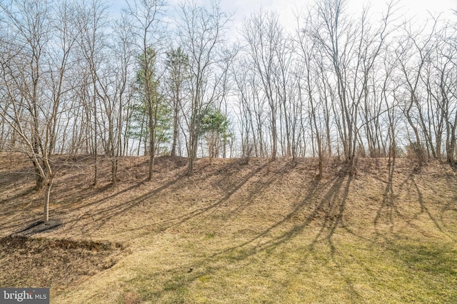 view of local wilderness