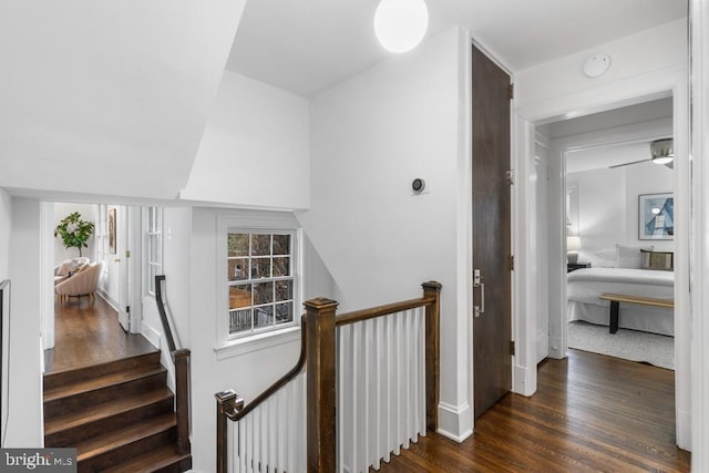 stairway featuring wood finished floors