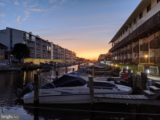 dock area with a water view