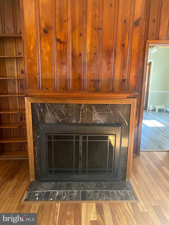 details featuring wood finished floors and a fireplace