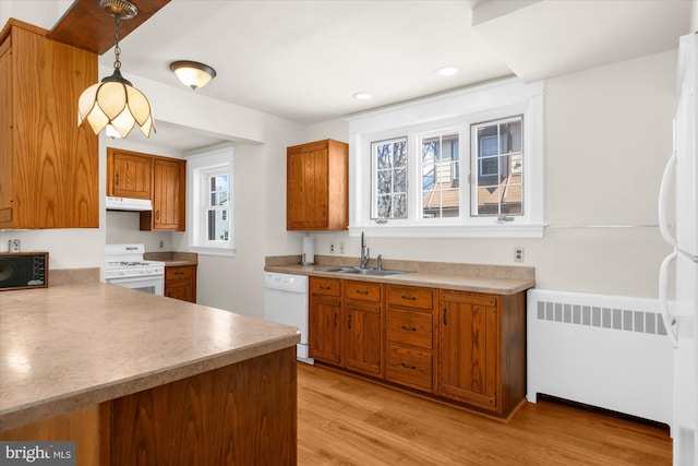 kitchen featuring white appliances, light wood-style flooring, radiator heating unit, a sink, and brown cabinets