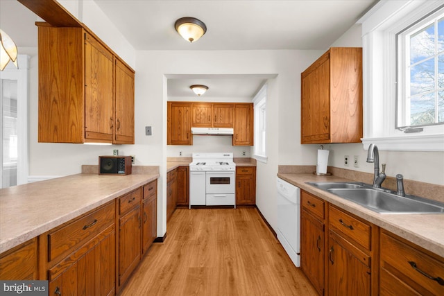 kitchen with light wood finished floors, under cabinet range hood, brown cabinets, white appliances, and a sink