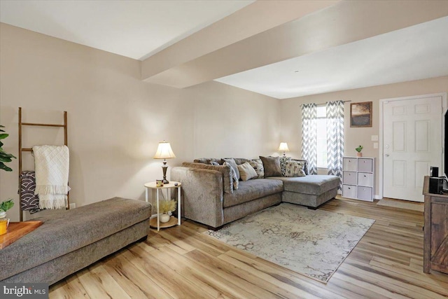 living room with wood finished floors