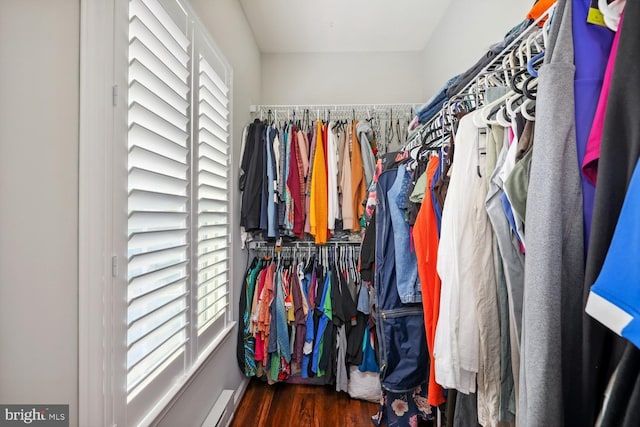 spacious closet featuring wood finished floors