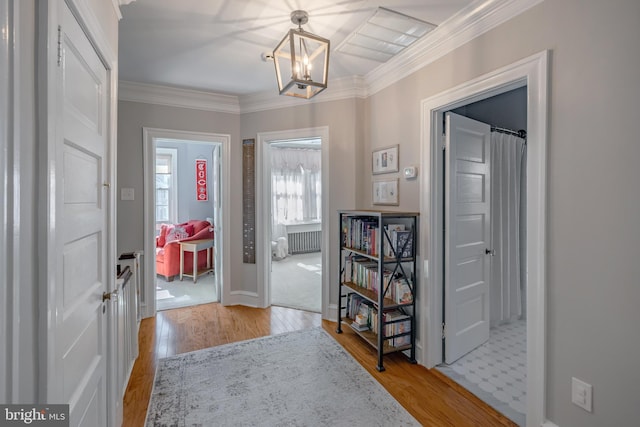 entrance foyer featuring crown molding, a notable chandelier, radiator, and wood finished floors