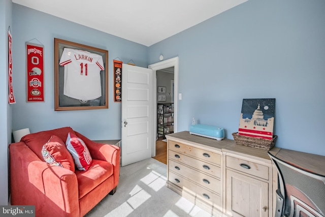 living area featuring light colored carpet