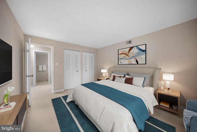 11305 Commonwealth Dr Unit 302, Rockville, MD 20852 - bedroom with light colored carpet and two closets