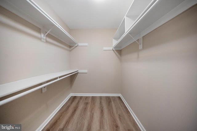 11305 Commonwealth Dr Unit 302, Rockville, MD 20852 - spacious closet with light wood finished floors
