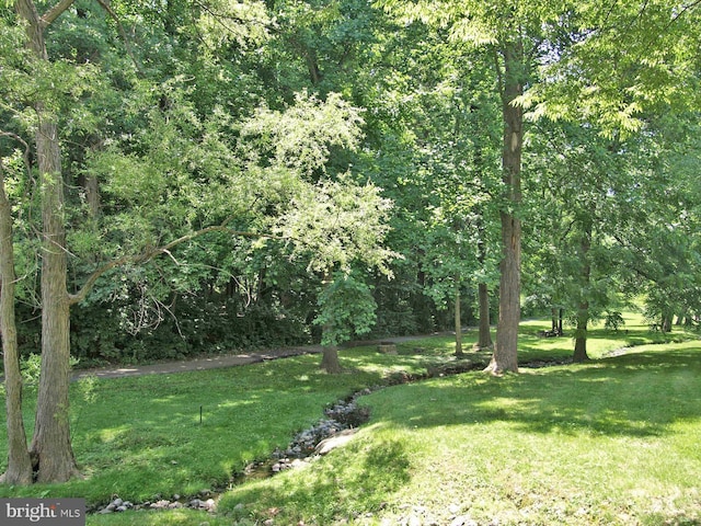 11305 Commonwealth Dr Unit 302, Rockville, MD 20852 - view of grassy yard