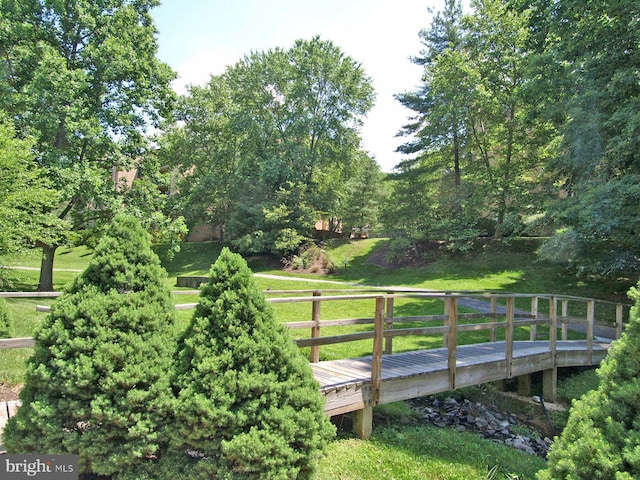 11305 Commonwealth Dr Unit 302, Rockville, MD 20852 - view of yard