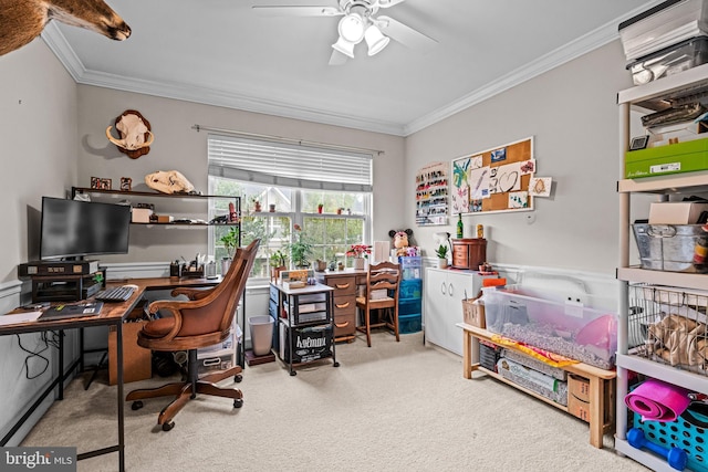 office area with carpet flooring, a ceiling fan, and ornamental molding