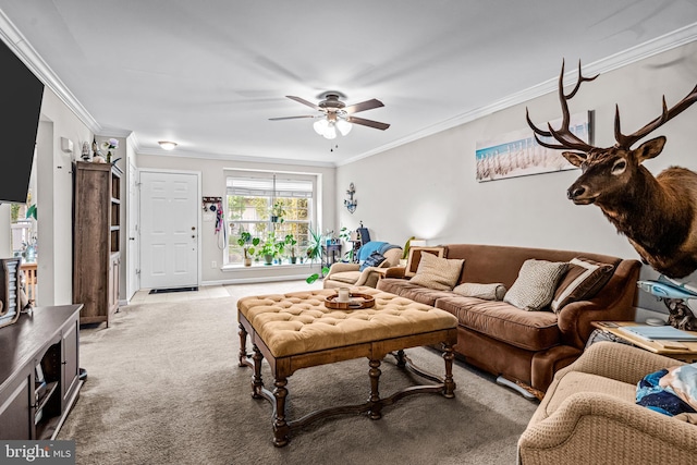 carpeted living area with ceiling fan and ornamental molding