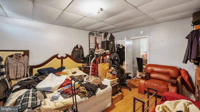 bedroom with wood finished floors and a paneled ceiling