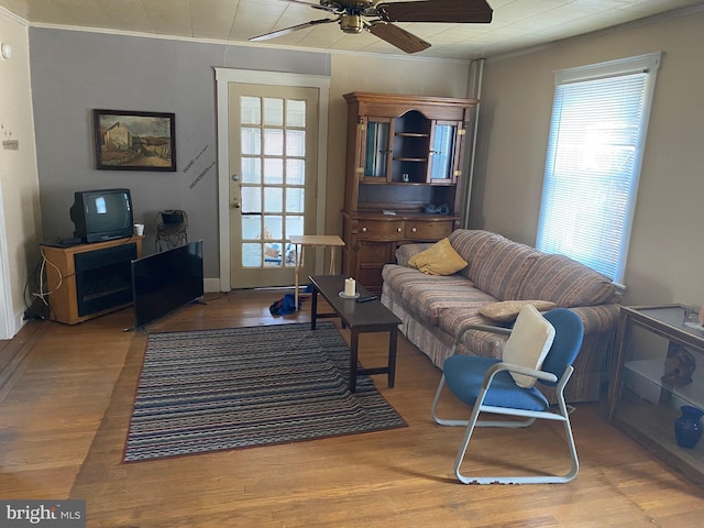 living area with crown molding, ceiling fan, and wood finished floors