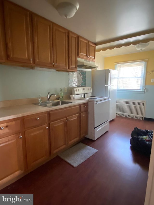 kitchen with radiator, under cabinet range hood, light countertops, white appliances, and a sink