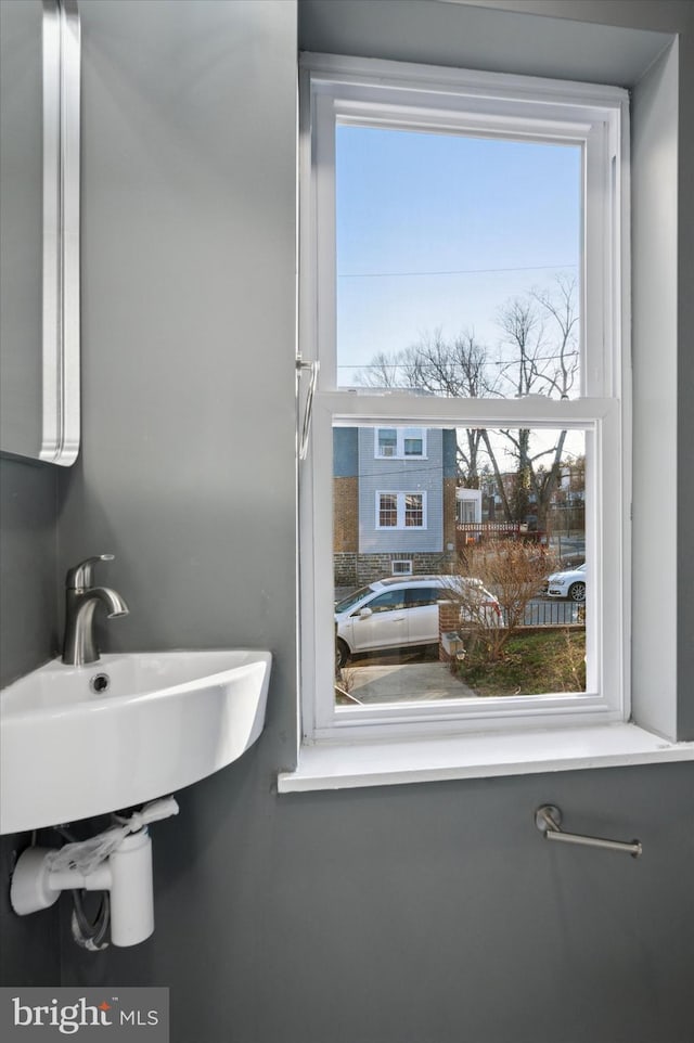 bathroom with plenty of natural light and a sink