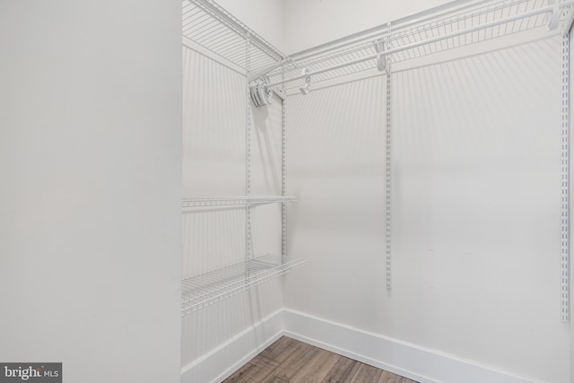 walk in closet featuring wood finished floors