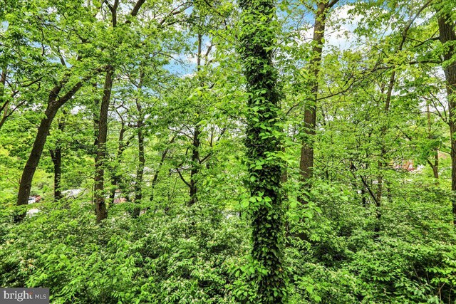 5 Westpointe Dr, Ephrata, PA 17522 - view of woods