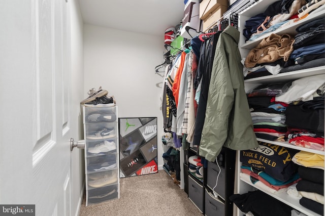 view of walk in closet