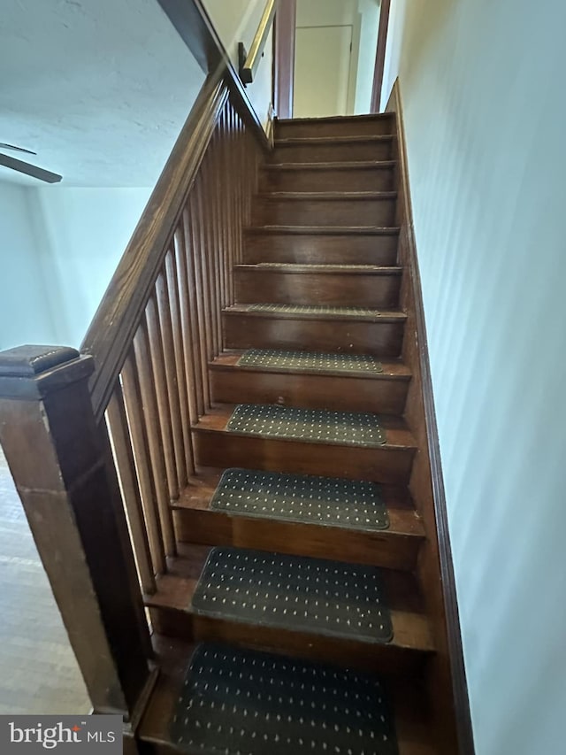 staircase featuring a ceiling fan