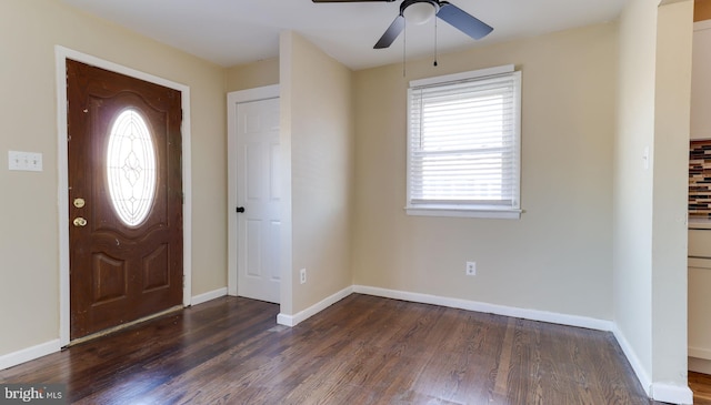 foyer entrance featuring baseboards, a healthy amount of sunlight, and dark wood-style flooring