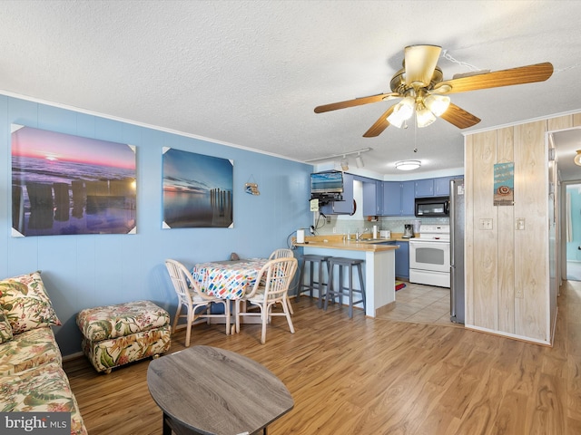 dining space with crown molding, a ceiling fan, light wood finished floors, and a textured ceiling