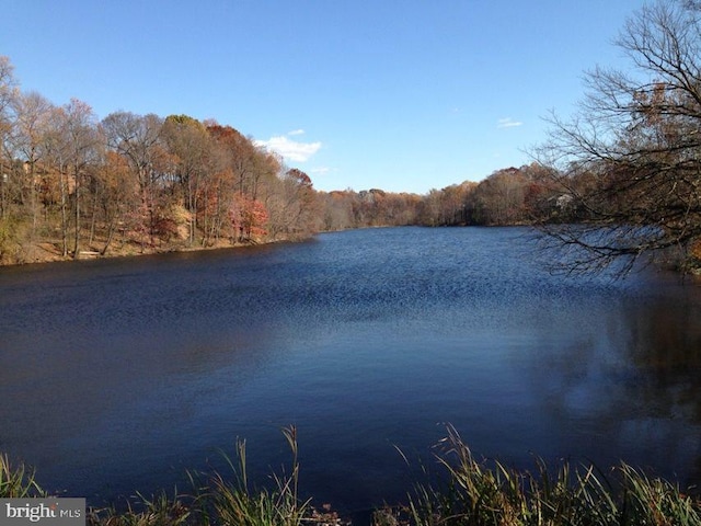 property view of water with a view of trees