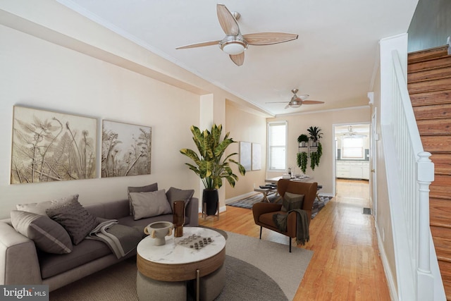 living room featuring stairway, light wood-style flooring, a ceiling fan, and ornamental molding