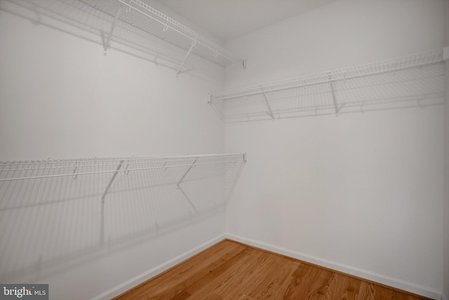 spacious closet featuring light wood-style floors