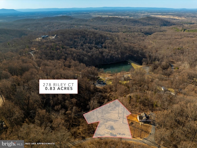 birds eye view of property featuring a view of trees and a water and mountain view