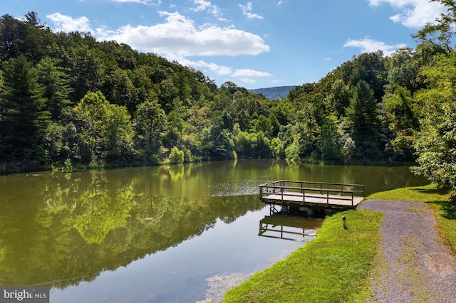 view of dock featuring a view of trees and a water view