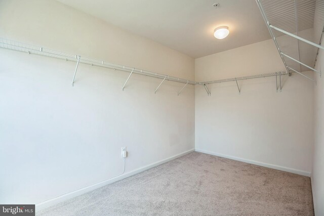 walk in closet featuring carpet