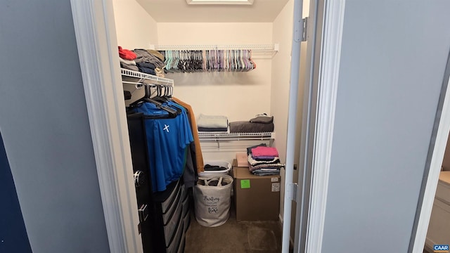 view of walk in closet