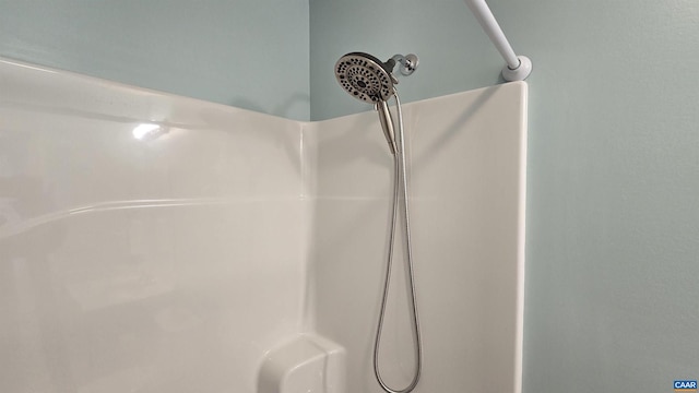 interior details featuring walk in shower