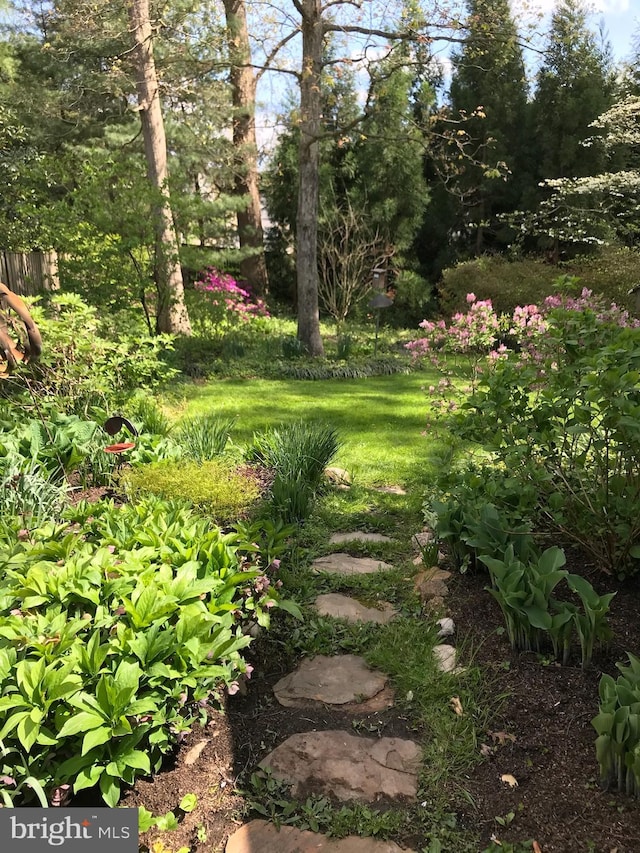 view of yard featuring fence