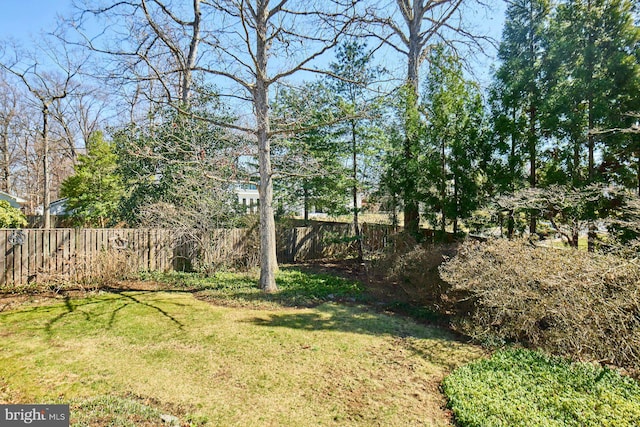 view of yard with fence