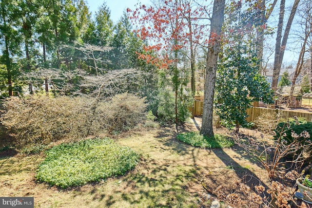 view of yard with fence