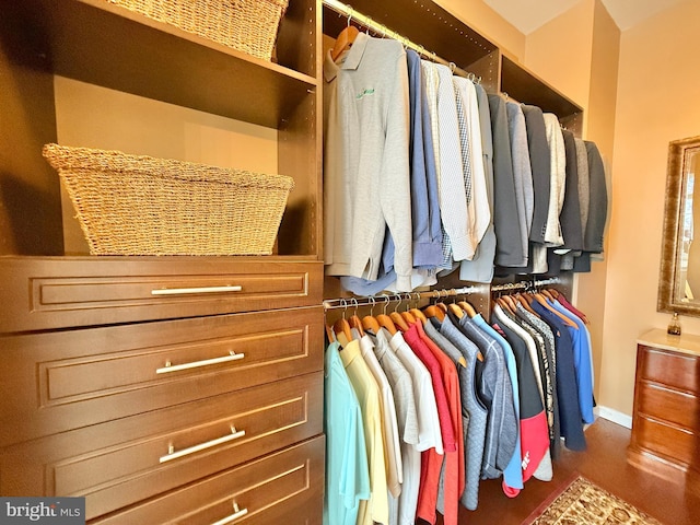 view of spacious closet