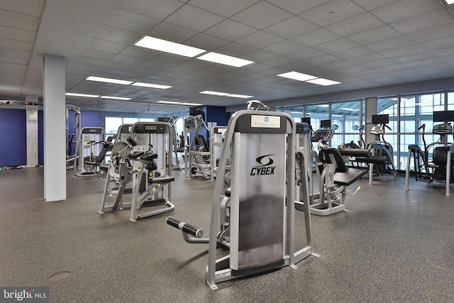 workout area with a paneled ceiling