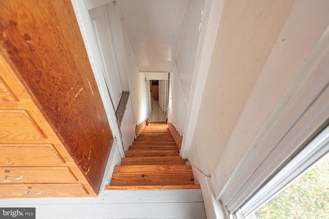 stairway with wood finished floors