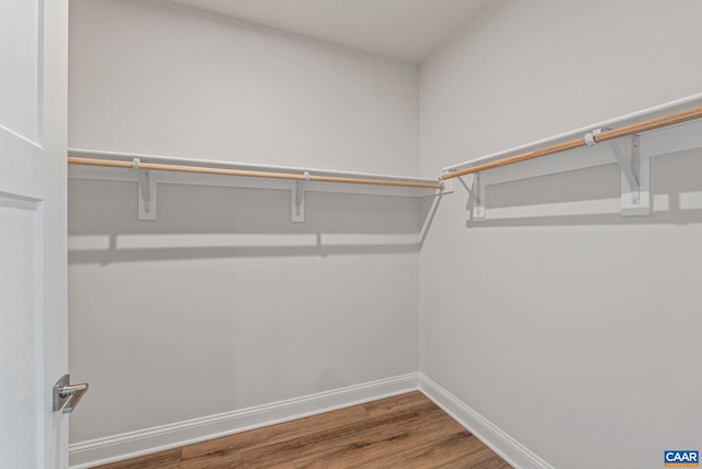 spacious closet featuring wood finished floors