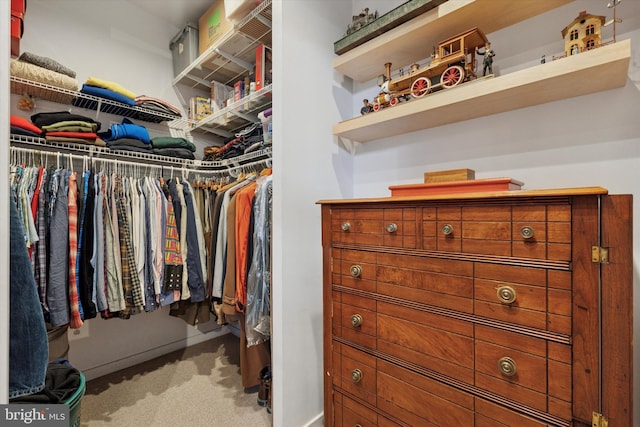 spacious closet with carpet