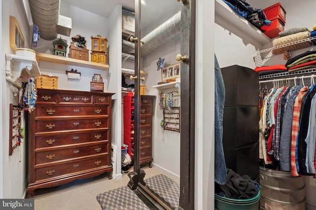 spacious closet featuring carpet