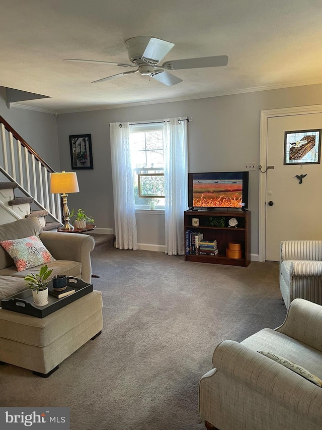 carpeted living area with stairway, baseboards, a ceiling fan, and crown molding