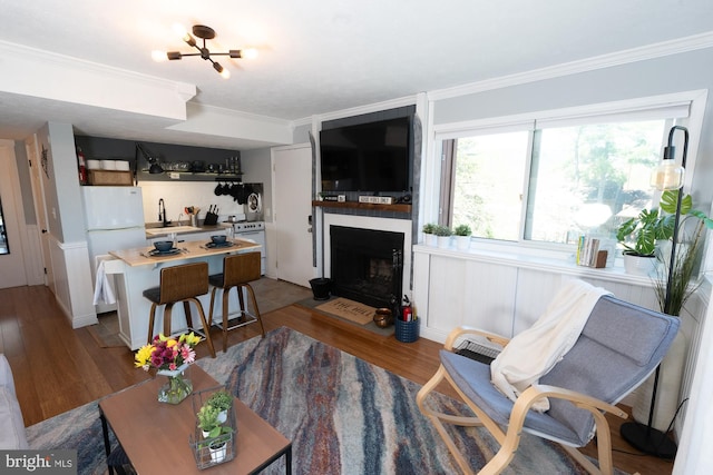 living room with crown molding, wood finished floors, and a large fireplace