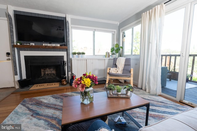 living area featuring a fireplace, crown molding, and wood finished floors