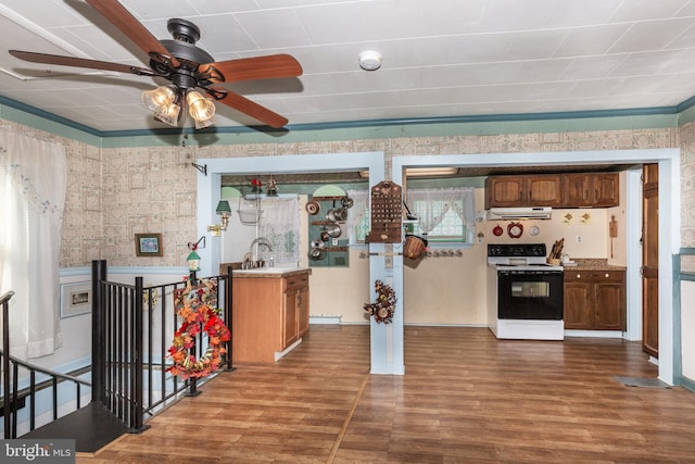 kitchen featuring electric range, a sink, ventilation hood, and dark wood-style flooring