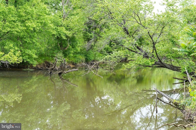 view of water feature featuring a forest view