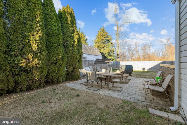 view of yard with a patio and a fenced backyard